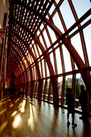 TorontoON_MG_1959