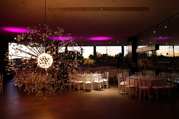 PhxArtKatz5050_004