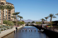 FishHerding_003